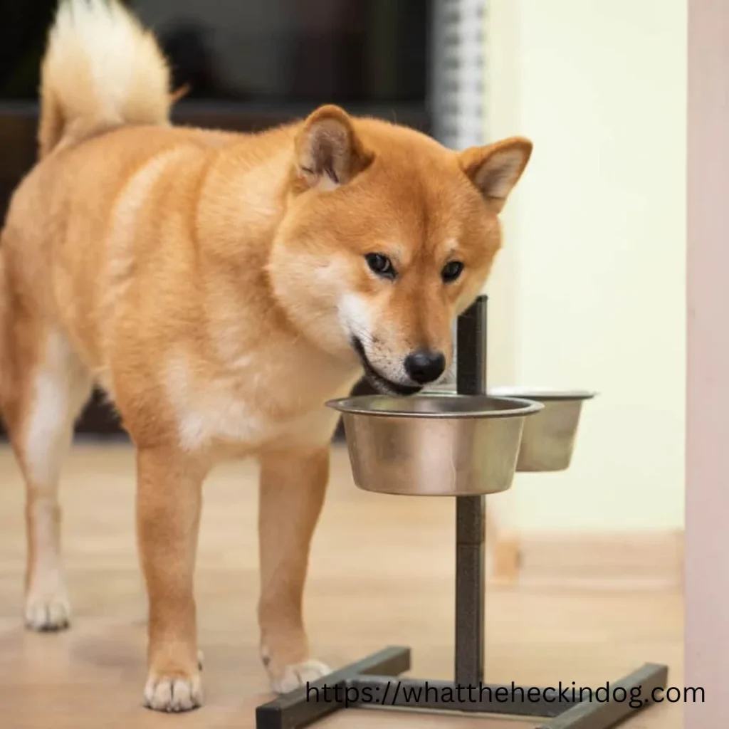  A cute dog standing near a metal bowl.