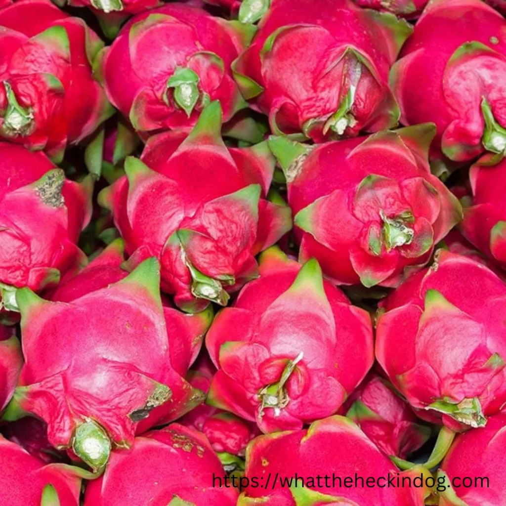 A vibrant display of dragon fruit in a bustling market. Vibrant dragon fruits waiting to be picked at the market