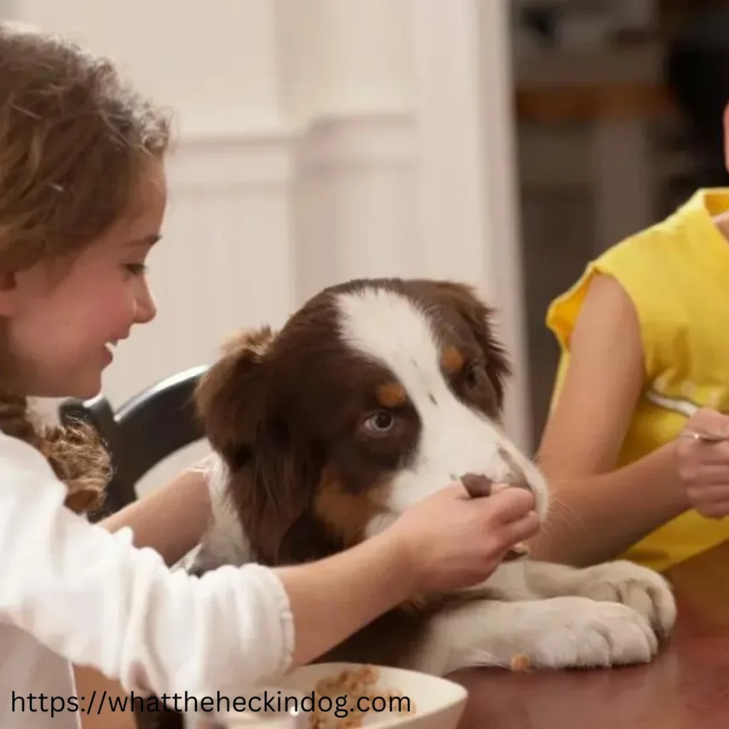 Two children happily feeding a Have Almond Butter dog at a table, showing love and care towards their furry friend.